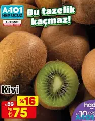 KİVİ KİVİ